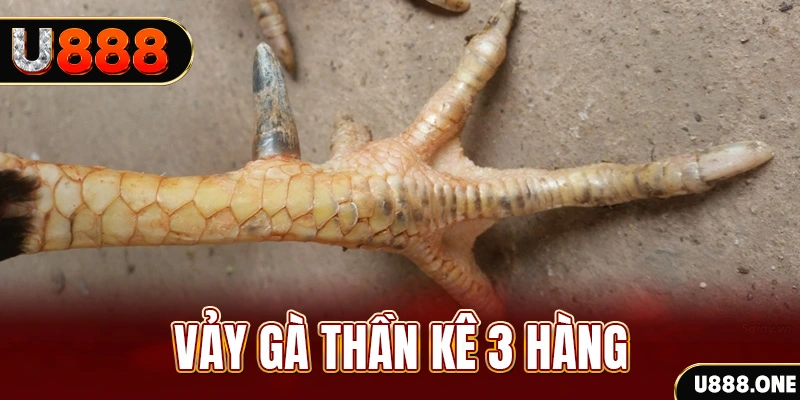 shondo nổ hũ đổi thưởng . ai