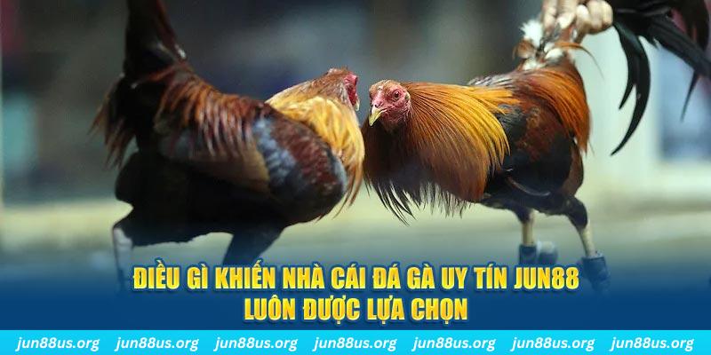 shondo bắn cá 30