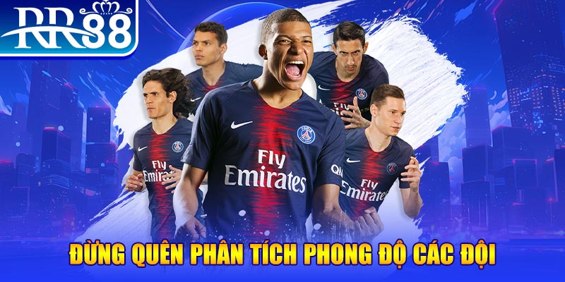 shondo chổi lông gà