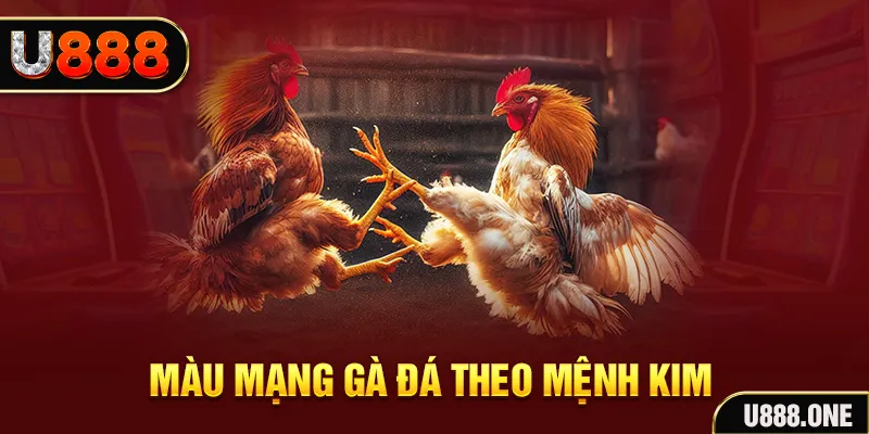 shondo gà chọi tiêu phong