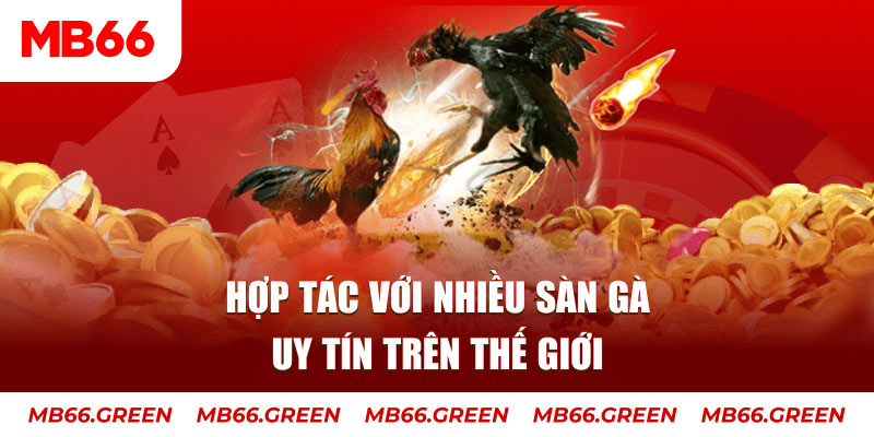 shondo nổ hủ chơi như thế nào