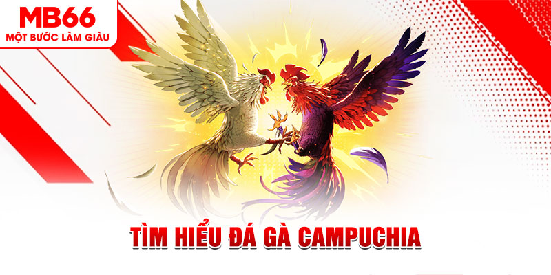 shondo tại sao không tải được nổ hũ