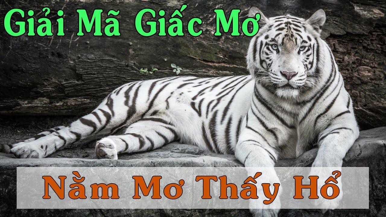 shondo xổ số miền trung
