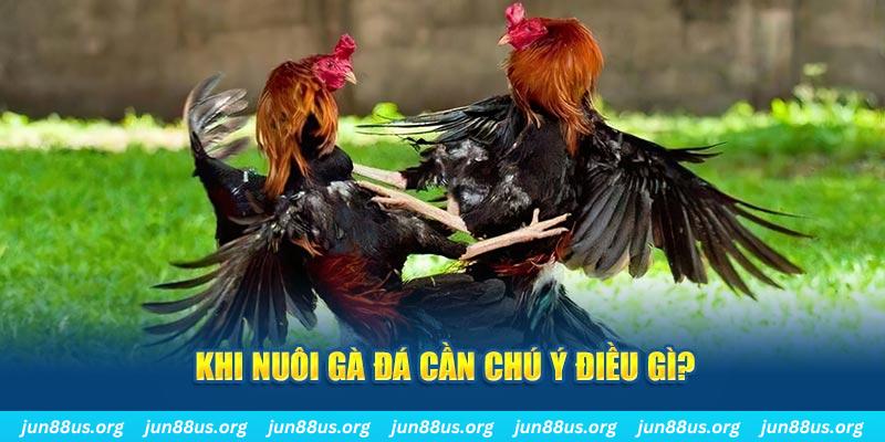 shondo ban ca vip online