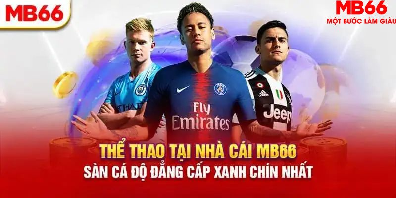 shondo HB Điện Tử