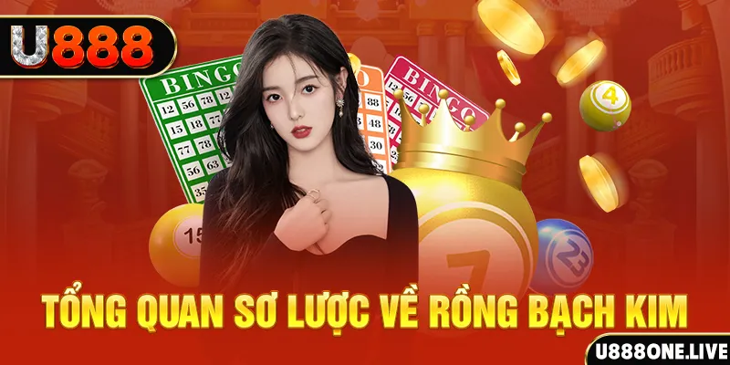 shondo how to win at slot machines