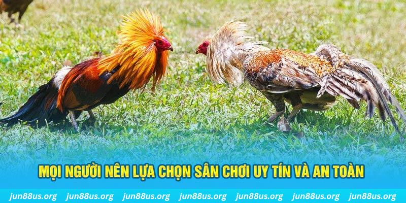 shondo hơn cả bạn bè