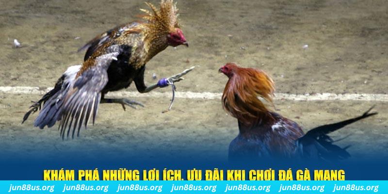 shondo Tài Xỉu 2