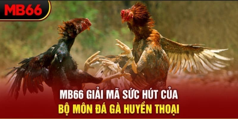 shondo long bảo trong baccarat là gì