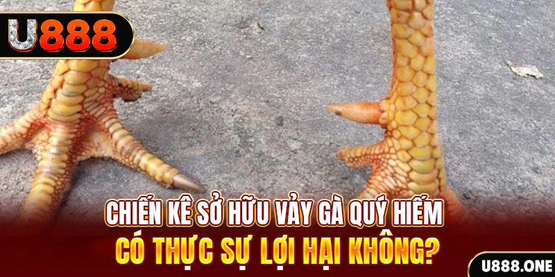 shondo game cá cược máy bay