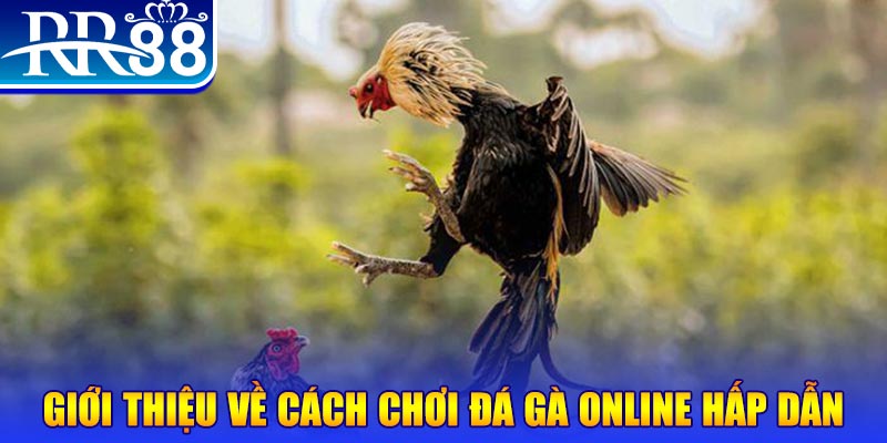 shondo nổ hũ 2 mặt là gì