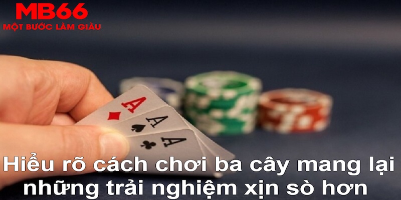 shondo xổ số quảng trị