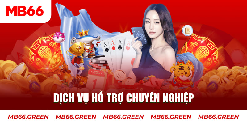 shondo gà chọi cậu thanh