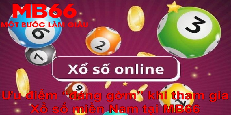 shondo YGR Điện Tử
