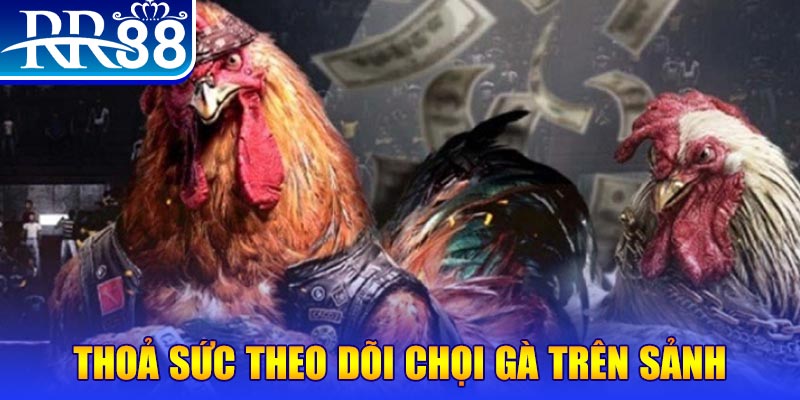 shondo NE Điện Tử