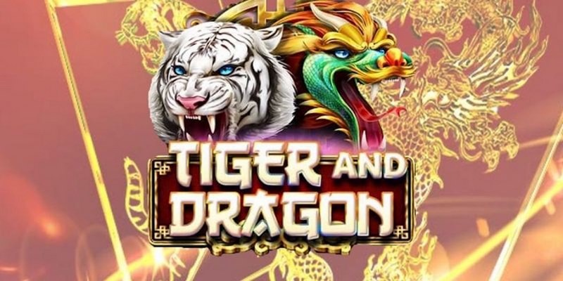 shondo cá cược tiếng anh là gì