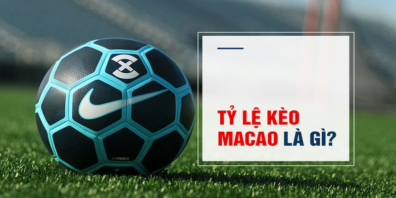 shondo Trăm Knorr