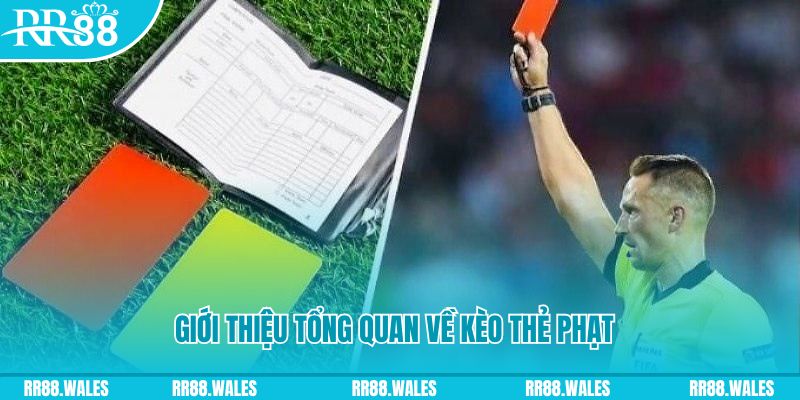 shondo đá gà trực tiếp c1