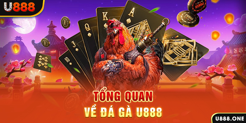 shondo chạy quảng cáo cho game bài bị phạt như thế nào